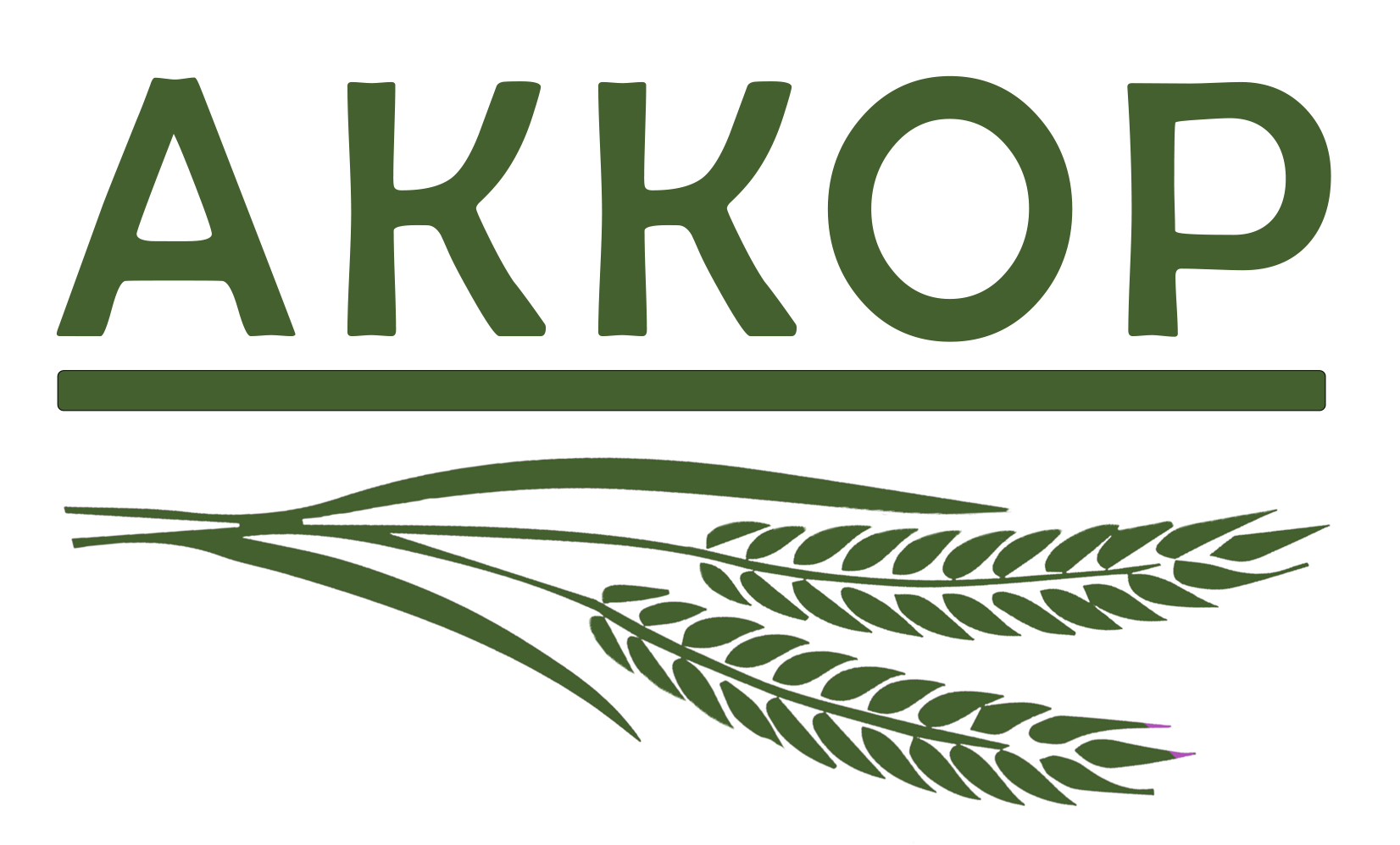 АККОР